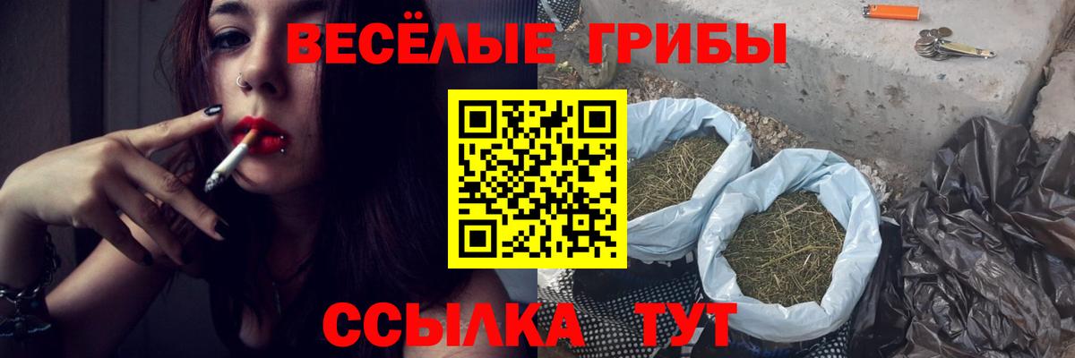 Канаш  Галлюциногенные грибы GOLDEN TEACHER  Вход с VPN 