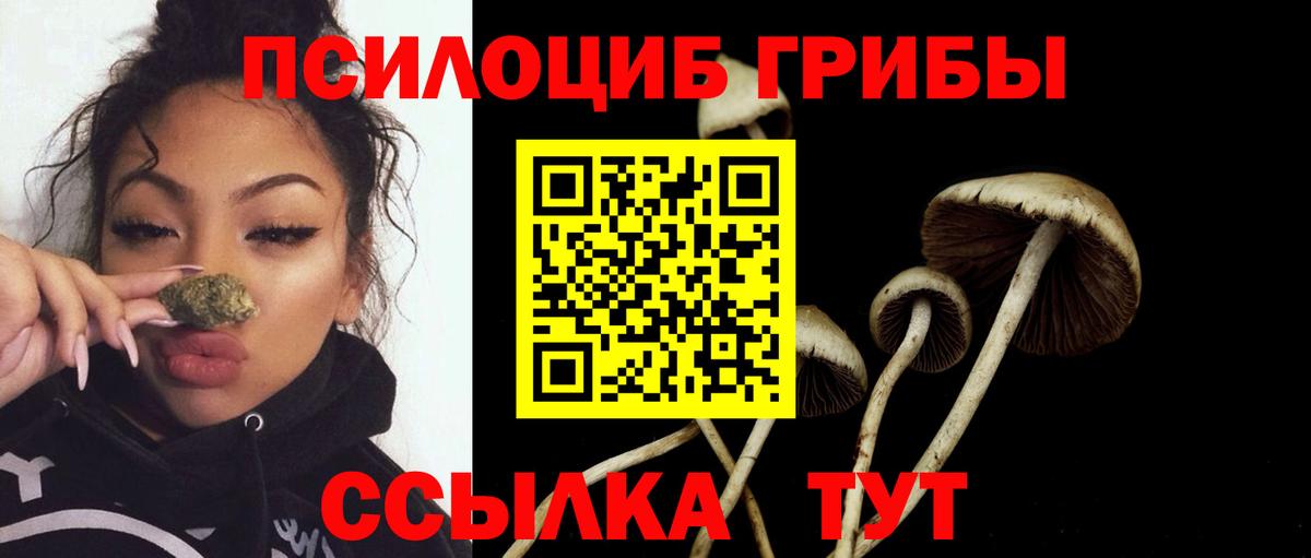 Галлюциногенные грибы ЛСД Канаш
